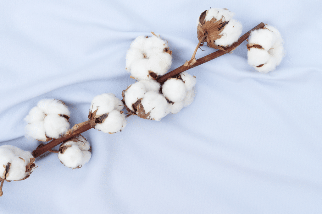 organic cotton